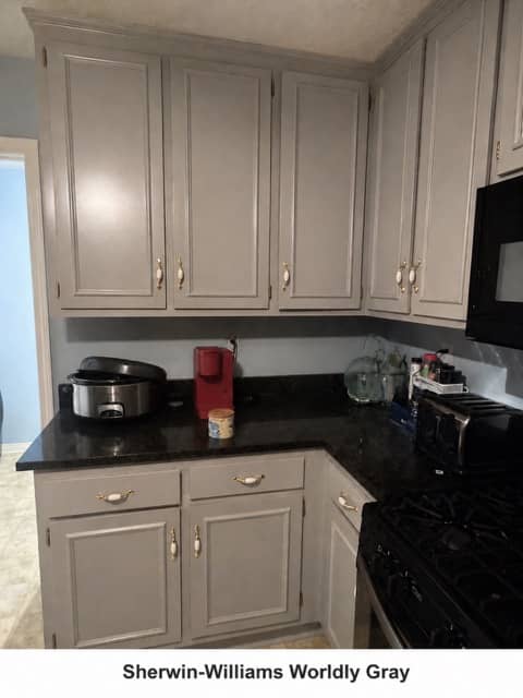 Kitchen cabinets with first color rendered
