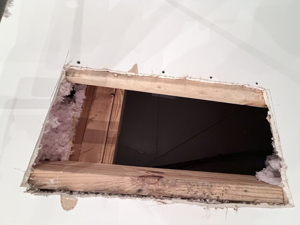 Patch Repair Ceiling Cut Open Exposed Joists Insulation — Interior Painting in Stapleton, Baldwin County, Alabama by Paint Doctors LLC.